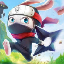 Ninja Rabbit